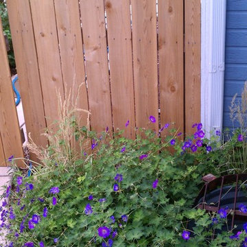 Fun, Flowers, & Food at El Rancho Calypso