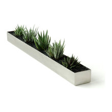 Kitchen window planter