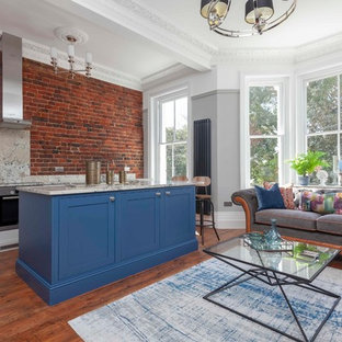 Неиссякаемый источник вдохновения для домашнего уюта: маленькая линейная кухня-гостиная в стиле фьюжн с фасадами в стиле шейкер, синими фасадами, островом, столешницей из гранита, техникой из нержавеющей стали, паркетным полом среднего тона, красным полом и бежевой столешницей