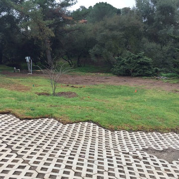 Watershed Approach Project