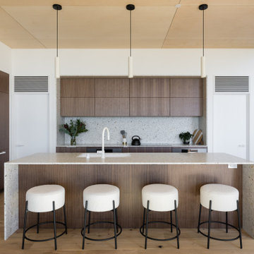 Contemporary Kitchen