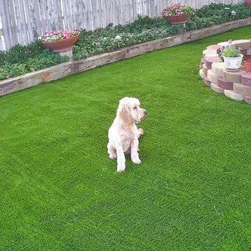 Artificial Landscapes