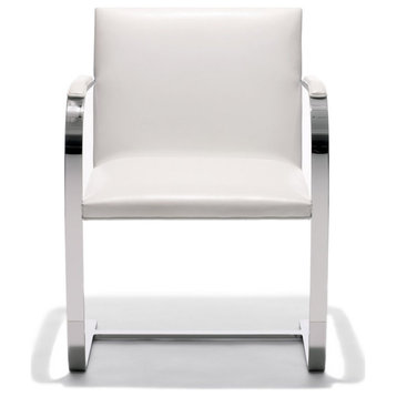 Tubular Arm White Polished Dining Chair