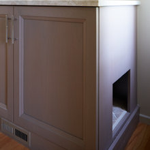 Hidden Cat Box