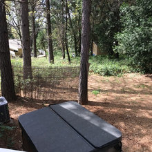 Outdoors