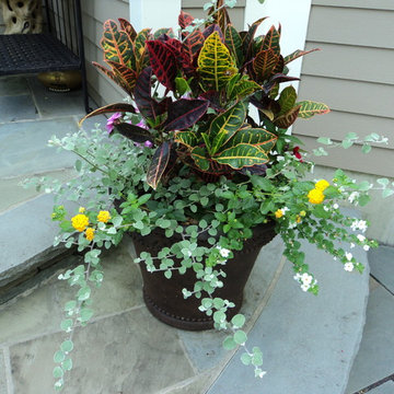 Flower Pot