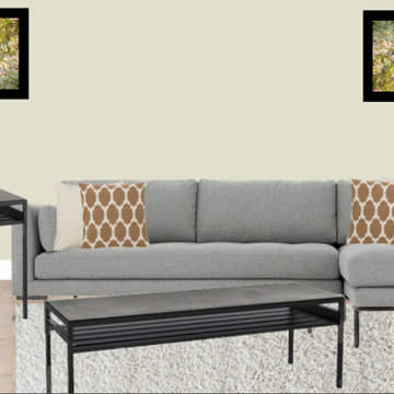 Project River - Edesign