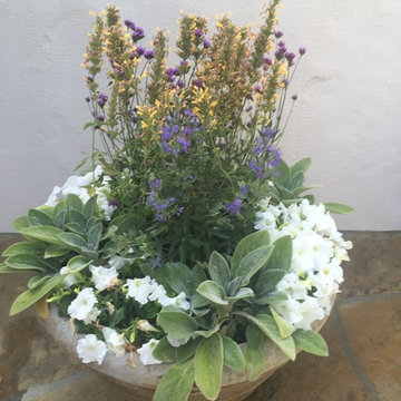 Pot Design