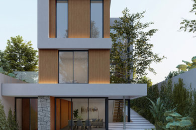 Imagen de patio minimalista de tamaño medio en patio trasero con jardín vertical y suelo de hormigón estampado