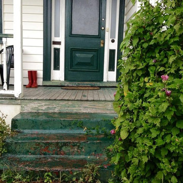 Master Painters Villa House Paint, Ponsonby, AUckland