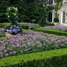 Garden 3