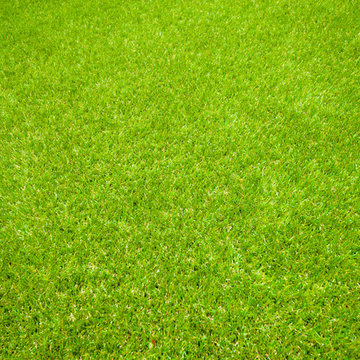 Front & Backyard Family Garden