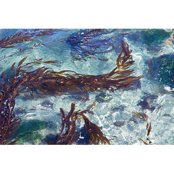Fine Art Photograph, Mermaid Tresses II, Fine Art Paper Giclee