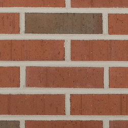 Triangle Brick's Texas Flashed Wirecut - Products