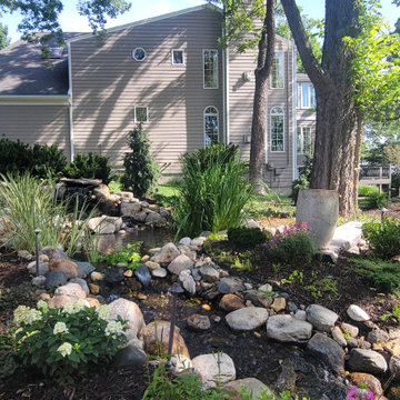 2025 Garden Highlights