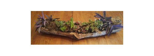 Is rustic decor still popular? Is it on its way out of style?