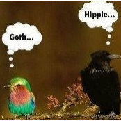 Leah Acosta's photo