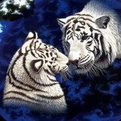 Mishelle Henneck's photo