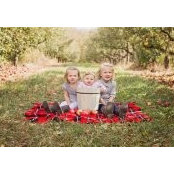 Shea Selly's photo