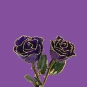 Dana Kidd's photo
