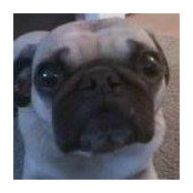 Holly Dougherty's photo