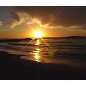 Aurora Beltran's photo