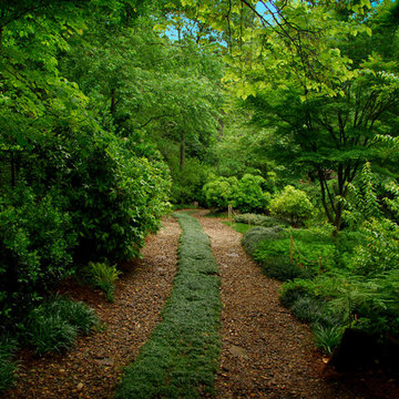 Pathways