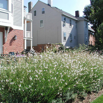 Benefit Street Residence