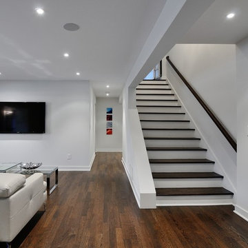 Modern Basement