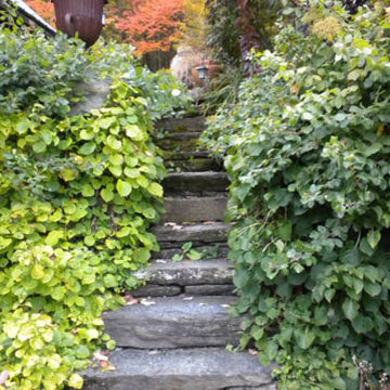 Our Landscaping Work