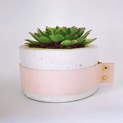 Ms Medez - Indoor Pots And Planters