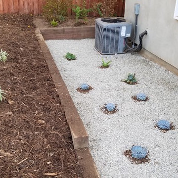 Backyard Altadena Re-design/Simple Clean-up