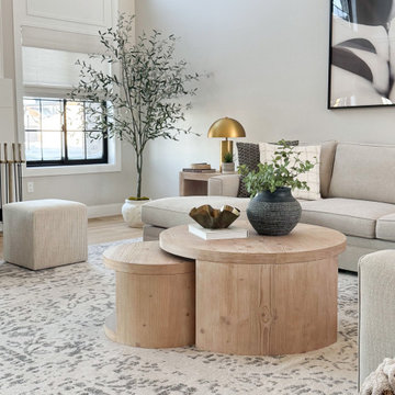 The Via Serbelloni New Build:  The Modern Organic Main Floor