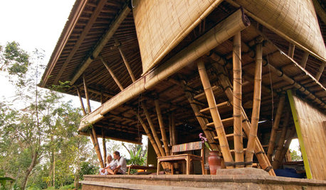 Why Bamboo Is Emerging as One of the Preferred Building Materials