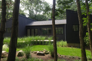 Modern woodsy cottage