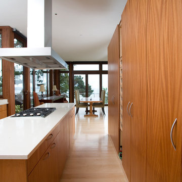 Mid-Century Overlook Home