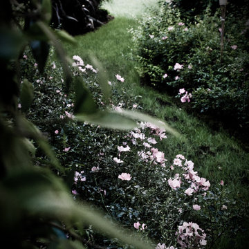 Giardino Via Bellerio Milano