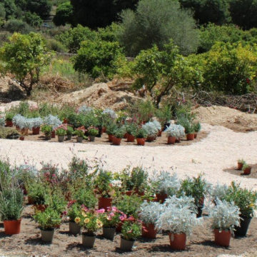 LLUBI GARDEN