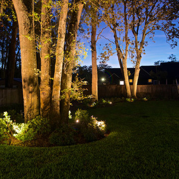 Atlantic Beach - Outdoor Landscape Lighting