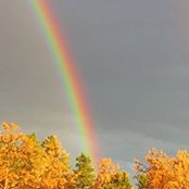 Scott Isaacson's photo