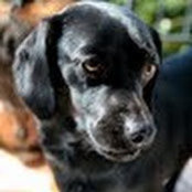 Timothy Kafka's photo