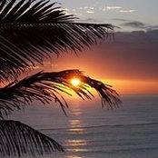 Sharon Hash's photo