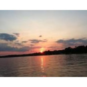Nancy West's photo