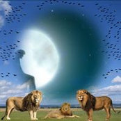Moon Moons foto