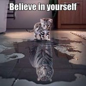 Kathy Batten De Cicco's photo