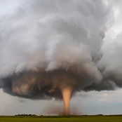 Teri Towne's photo