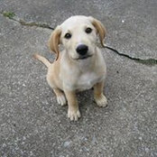 Lisa Schmitt's photo