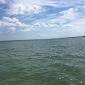 Alison Morrison's photo