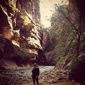 Nicole Nicodemus's photo