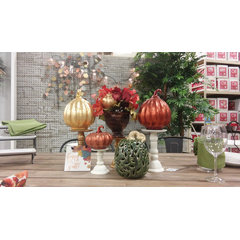 Cactus_interior